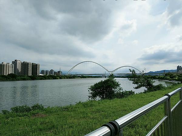 【雙北遊】騎Youbike遊新北 從江子翠河濱公園騎到三重幸福水漾公園+羊咩咩的家餵羊