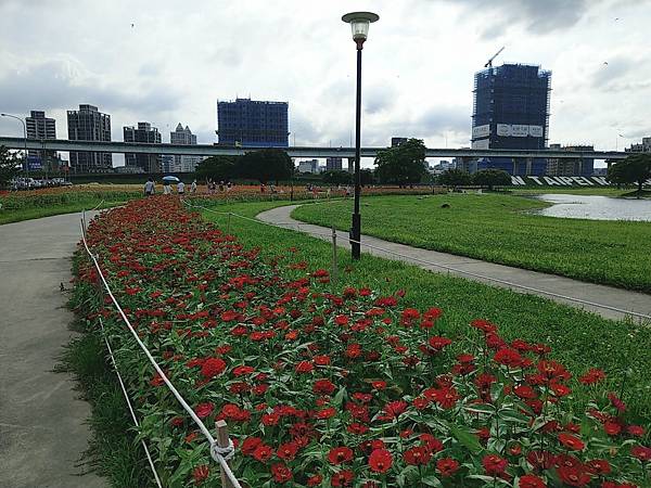 【雙北遊】騎Youbike遊新北 從江子翠河濱公園騎到三重幸