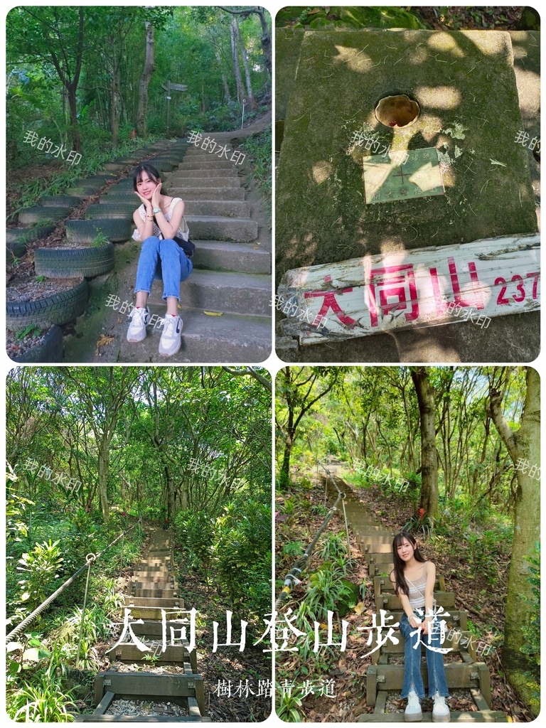 【新北遊】山佳、樹林踏青步道 大同山登山步道｜青龍嶺寮望台+
