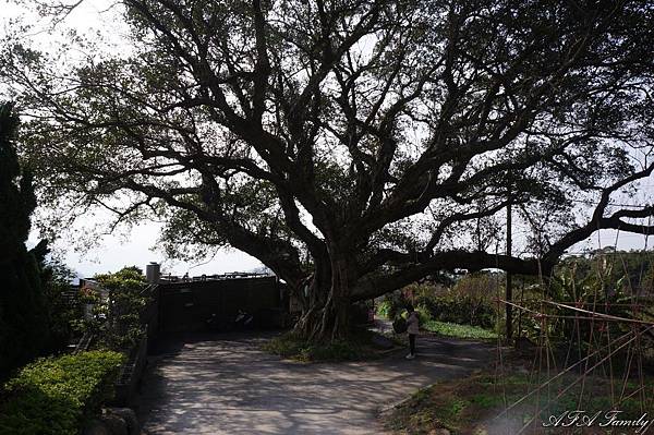 風尾步道 015.JPG