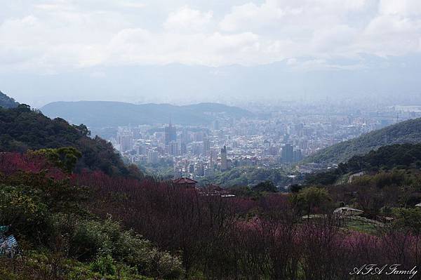 風尾步道 024.JPG