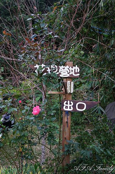 六號花園 003.JPG