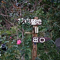 六號花園 003.JPG