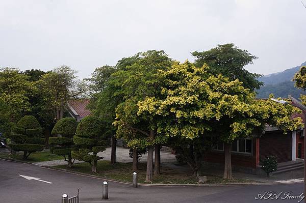 龍鳳谷步道 021.JPG