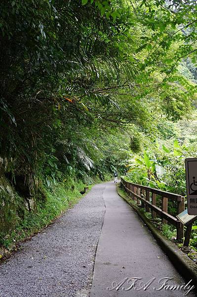 內洞國家森林遊樂園 005.JPG