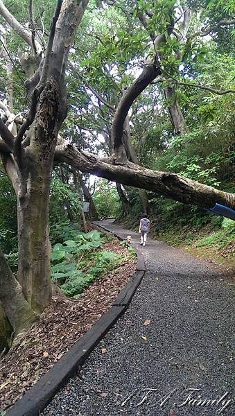 天母水管路古道 009.jpg