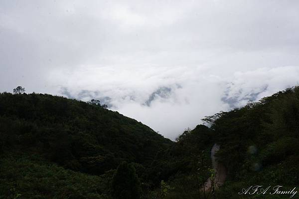 雲霧農場 019.JPG