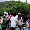 20120719 067.JPG