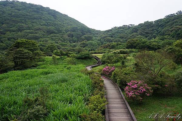 大屯自然公園環湖步道 018.JPG