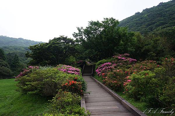 大屯自然公園環湖步道 034.JPG