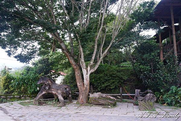 2019-07-21 司馬庫斯 071.JPG