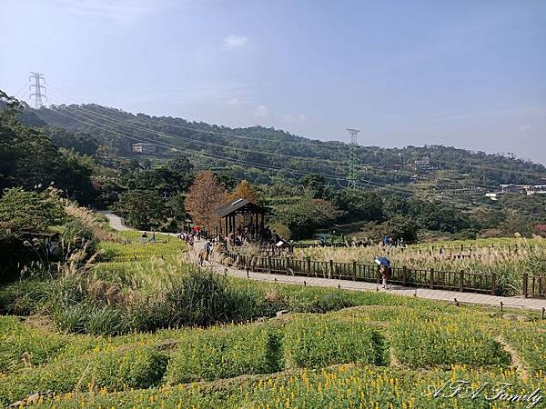 樟樹步道 031_结果.jpg