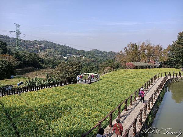 樟樹步道 033_结果.jpg