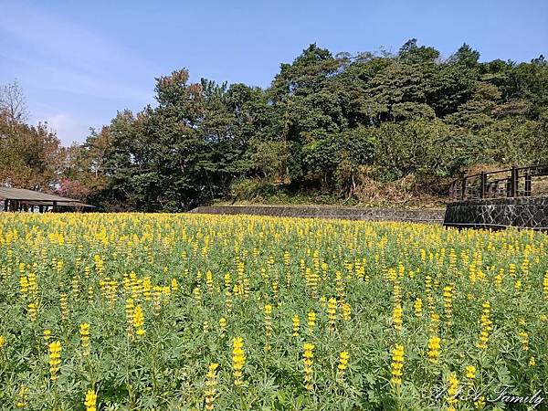 樟樹步道 044_结果.jpg