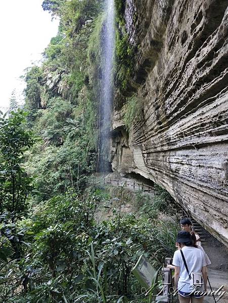 2020-07-12 嘉義梅山 105.jpg