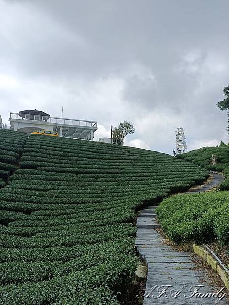 2020-07-12 嘉義梅山 193.jpg