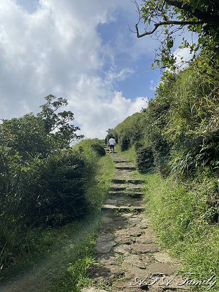 2020-08-28 陽明山夢幻湖步道 014.jpg