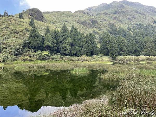 2020-08-28 陽明山夢幻湖步道 019.jpg