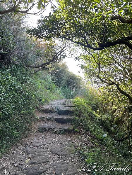 2023-11-09 大屯主峰連峰環形步道 069.jpg