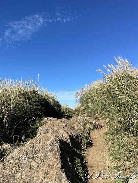 2023-11-09 大屯主峰連峰環形步道 098.jpg