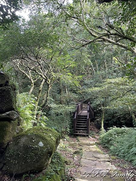 2023-11-09 大屯主峰連峰環形步道 190.jpg