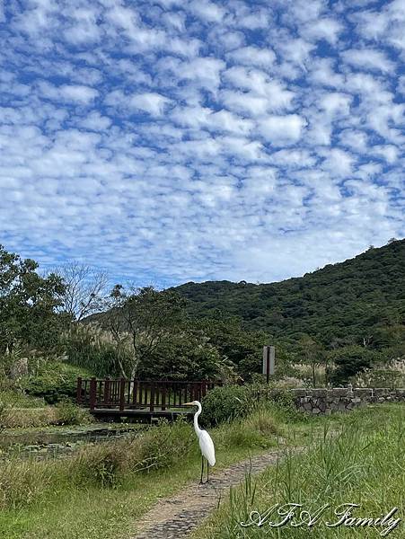 2023-11-09 大屯主峰連峰環形步道 209.jpg