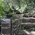 2023-11-20 面天山-向天山步道 052.jpg