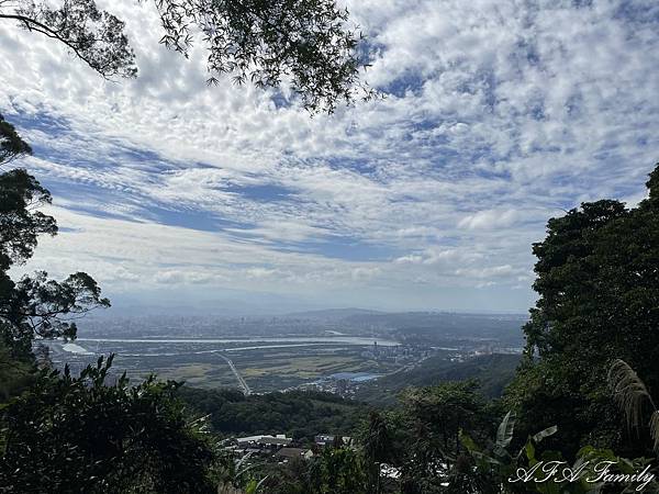 2023-11-20 面天山-向天山步道 124.jpg