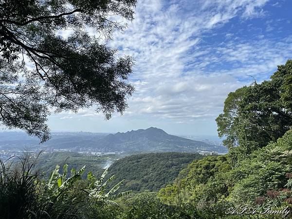 2023-11-20 面天山-向天山步道 127.jpg