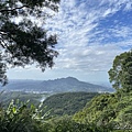 2023-11-20 面天山-向天山步道 127.jpg