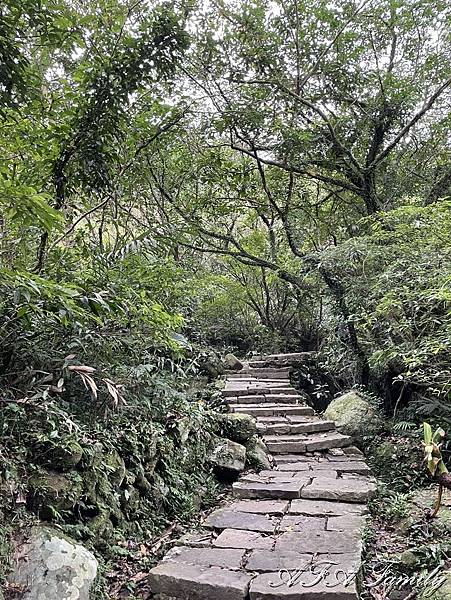 2023-08-28 陽明山夢幻湖步道 011.jpg