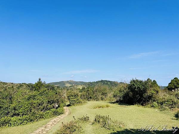 2024-01-04 陽明山花卉 012.jpg