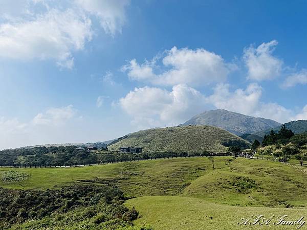 2024-01-04 陽明山花卉 031.jpg