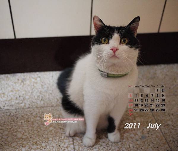 酷酷2011年7月電腦桌布(適合1280x1024) 酷酷2011年7月電腦桌布(適合1280x1024)