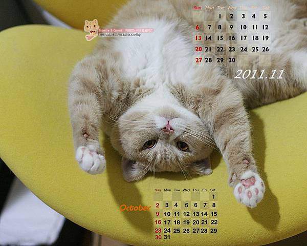 卡諾里2011年10月&11月桌布(適合1280x1024) 卡諾里2011年10月&11月桌布(適合1280x1024)