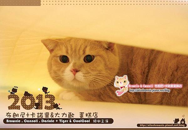 Cover Cover