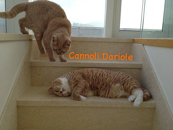 IMG_8173 IMG_8173