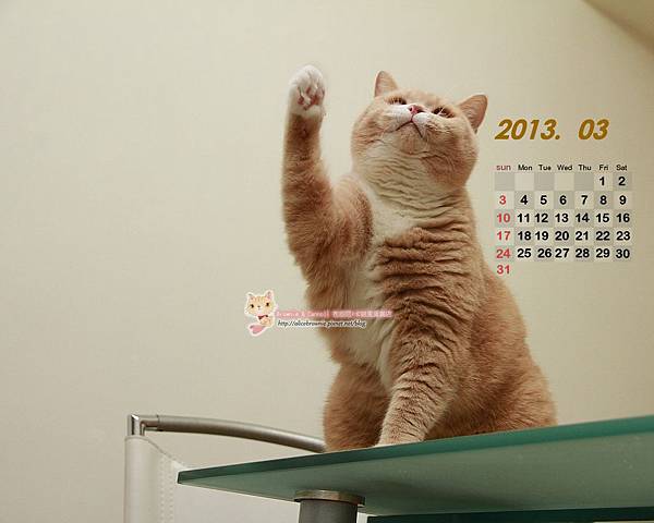 卡諾里2013年3月電腦桌布(適合1280X1024) 卡諾里2013年3月電腦桌布(適合1280X1024)