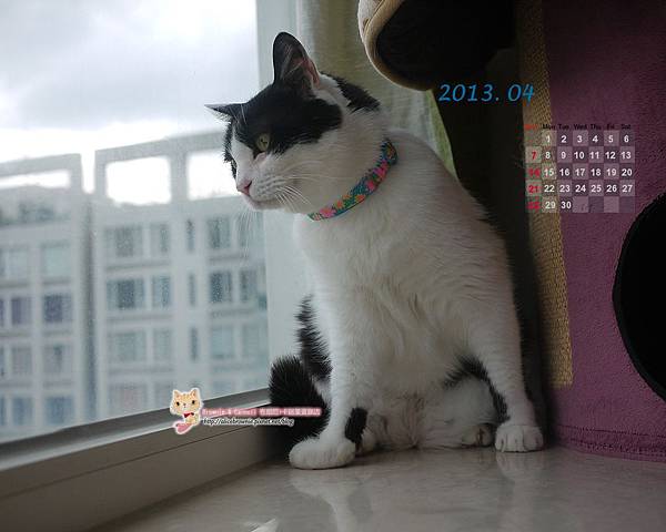 酷酷2013年4月電腦桌布(適合1280X1024) 酷酷2013年4月電腦桌布(適合1280X1024)