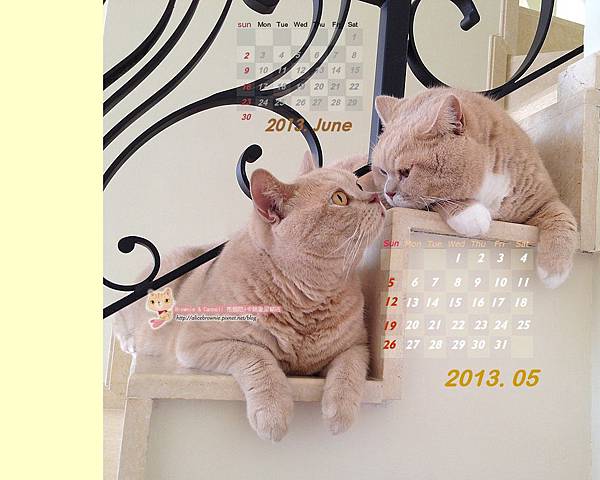 卡哥歐弟2013年5月6月桌布(適合1280X1024) 卡哥歐弟2013年5月6月桌布(適合1280X1024)
