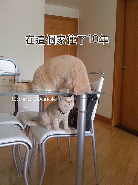 image.jpg image.jpg