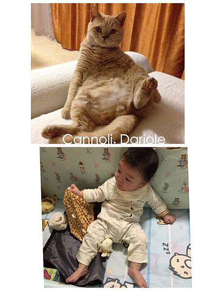 dph6sA9yK.jpg dph6sA9yK.jpg