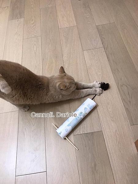 28377884_1044068915732571_5493082763722528254_n.jpg 28377884_1044068915732571_5493082763722528254_n.jpg