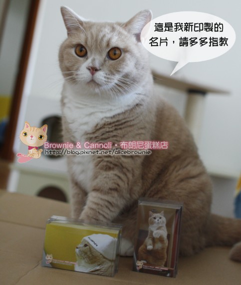 C_11343_Card.JPG C_11343_Card.JPG