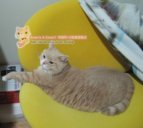 C_12172_Sofa.JPG C_12172_Sofa.JPG