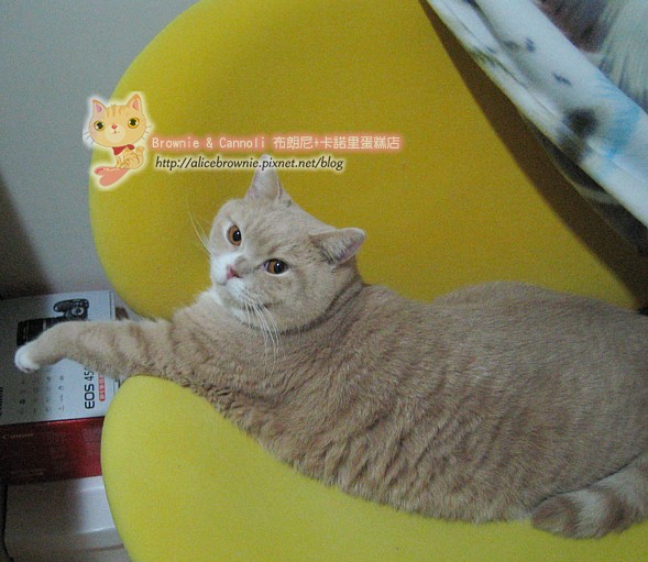 C_12171_Sofa.JPG C_12171_Sofa.JPG