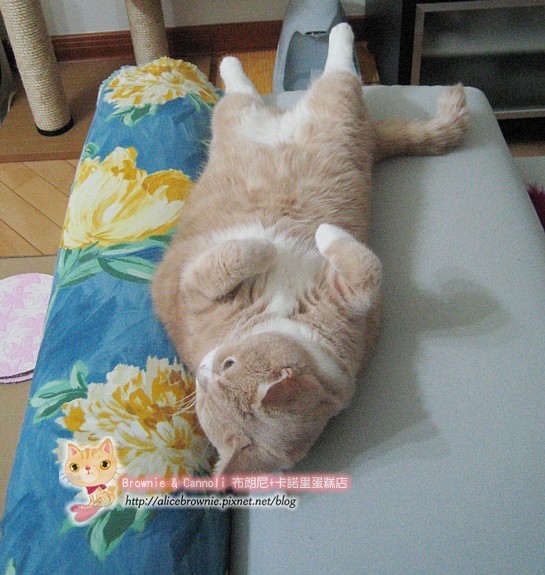 C_12694_Sofa.JPG C_12694_Sofa.JPG