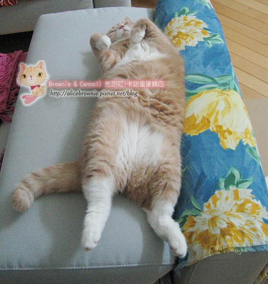 C_12691_Sofa.JPG C_12691_Sofa.JPG