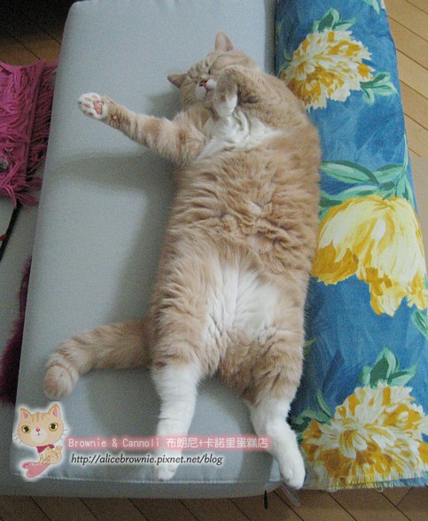 C_12693_Sofa.JPG C_12693_Sofa.JPG