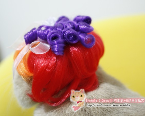 C_12308_Wig.JPG C_12308_Wig.JPG